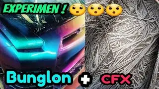 Eksperimen CfX dan cat bunglon