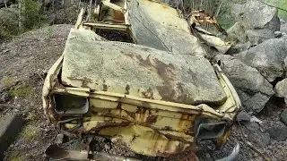 Forest Find: Fiat 133 & Fiat 600