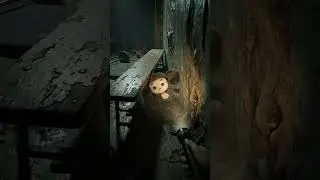 Creepy Gym Horror &mdash; Flashlight POV