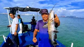 Rod Ultralight Disambar Gorgon, Drag Cair | Trip Healing Di Perairan Penang