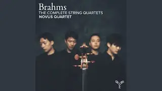 String Quartet in C Minor, Op. 51 No. 1: III. Allegretto molto moderato e comodo