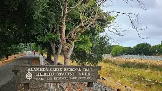 Alameda Creek Regional Trail / Easy Walking Trail in Fremont, California / Walking Tour 