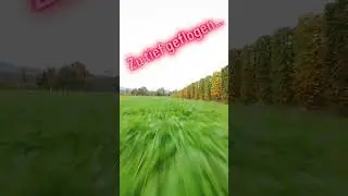 Cinematic until&hellip; 💥 FPV Drone Crash 😬 #djiavata2 #drone #fpvdrone #dronecrash