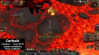World first hunter solo: CaribaLd vs Sartharion: Twilight Assist (25 man)