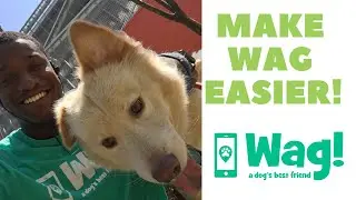 Making Wag Easier!! / Dog Walking Tips
