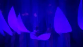 02 Концерт, шары СККИ День знаний