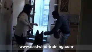 Eastwind Training: Dog saves his friend from theft and murder  (كلب ينقذ صاحبته من السرقة والقتل)