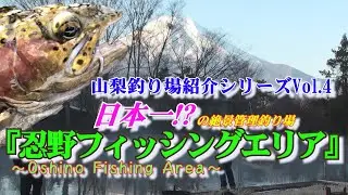 山梨釣り場紹介Vol.4『忍野フィッシングエリア』