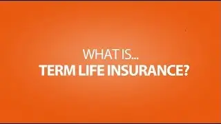 What Is Term Life Insurance