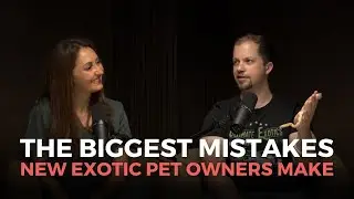 Leopard Geckos, Snakes & Bearded Dragons: The Biggest Mistakes New Exotic Pet Owners Make