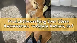 Produktbewertung Ever Clean Katzenstreu, mehrere Katzen, duftend f&uuml;r lang anhaltende Frische, unschl