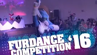 Rusfurence Dance Contest 2016 - Viverna