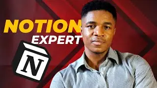 Introduction | Meet your go-to Notion Expert | Specializes in Project Management Solutions