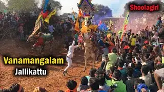Vanamangalam (வானமங்கலம்) Jallikattu - Shoolagiri Jallikattu - Vanamangalam Festival Jallikattu 2022