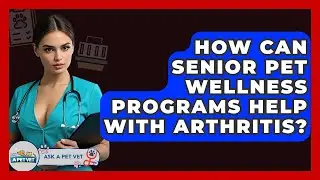 How Can Senior Pet Wellness Programs Help With Arthritis? - Ask A Pet Vet