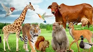 Pixal help sound effects for animals || animal sound effects free download