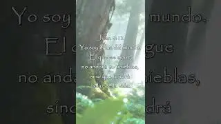 Juan 8:12 - Reza un minuto con Nosotros