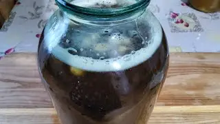Traditional Slavic Kvass with chicory.  Квас с добавлением цикория.