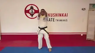 9.Kyu Kyokushinkai Renraku