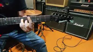 Valley Art Standard Pro