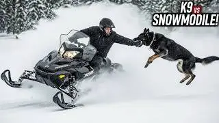 K9 Attacks a Moving Snowmobile (-30&deg;C Blizzard) | Extreme Arctic Ambush