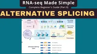 Detect Alternative Splicing in RNA-seq: SplAdder Tutorial
