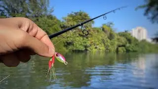 ESSA ISCA É IRRESISTÍVEL !!! PESCARIA COM MICROJIGS !! MUITOS ROBALOS NA PONTA DA LINHA !!!!