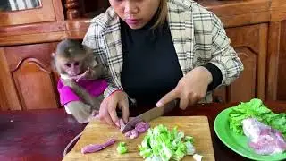 Copy of The monkey Icy looks hungry, waiting for Mummy to finish cooking her food so she can enjoy