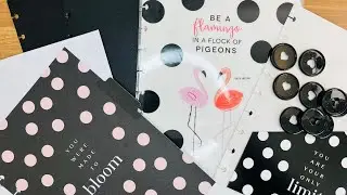 March 2025 Happy Planner Refresh | Classic Vertical Catchall Planner | Seasonal Planner Set-up