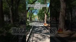 Seward Park is truly a hidden wonder in New York City #nature #love #fun #travel #nyc #happy #map