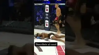 KO BRUTAL valetudo