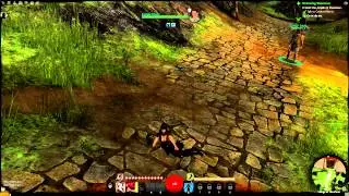 Rook's Guild Wars 2 Experiance - a funny little thing