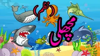 Machli jal ki Rani poem🐟🦈🐠 Fish | Poem | Urdu Nazam | Machli Nazam in Urdu | Educational Video