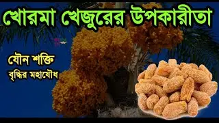 খোরমা খেজুরের উপকারীতা।Sexual enhancement  natural pills.Benefits of dry dates