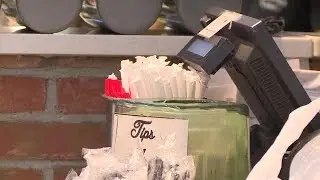 'Give a Sip' aims to protect wildlife by eliminating single-use plastic straws