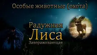 Особые животные (Охота) БДО. Радужная Лиса (Завораживающая) Титулы || Rare Rainbow Fox Hunting