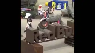 #Amazing #CrazyBiker #Crazy  #FuriousTiger
