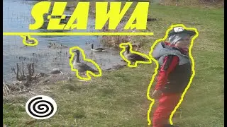 Nowa plaża w Sławie gotowa. Zobaczcie, jak tam jest pięknie.