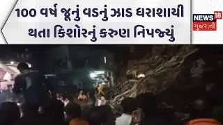 Mehsana Shocking Incident |100 વર્ષ જૂનું વડનું ઝાડ ધરાશાયી થતા કિશોરનું કરુણ નિપજ્યું|Gujarati News