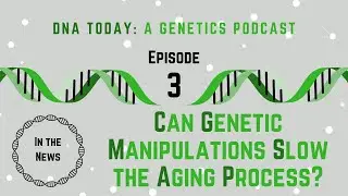 Can Genetic Manipulations Slow the Aging Process?