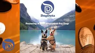 DOG DATA: Nền tảng ph&uacute;c lợi cho ch&oacute; được x&acirc;y dựng tr&ecirc;n Blockchain