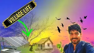 How 2 Solar Panels Power a Tubewell in My Village | Dehati Log | Village Life Pakistan #villagelife