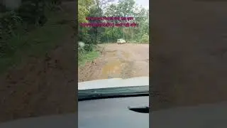 Aamcho Chhotedongar Narayanpur Road,#road,#sadk,#jangal tour,#road trip,#bastar,#narayanpur,#aamcho bastar,