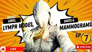 Breast Health Basics: Lobes, Ducts, Lymph Nodes & Mammograms Explained - Ep. 7 | Bust Out