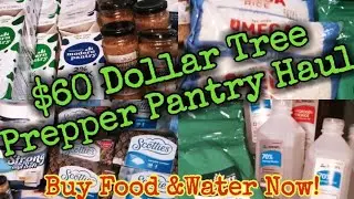 $60 Dollar Tree Prepper Pantry Haul/Prepping for a Dark Winter #prepperpantry #foodsecurity #prep