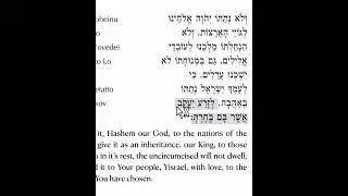 Shabbat Amidah - Blessing #4 - Part 19 -  L'Zera Yaakov Asher Bam Bacharta