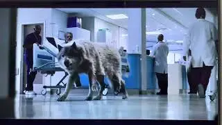 Sanofi Flu Vaccine Commercial (September 2022)