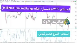 ‫🔥 اسیلاتور WPR با هشدار (Williams Percent Range Alert) برای متاتریدر 4/5 - تریدینگ فایندر