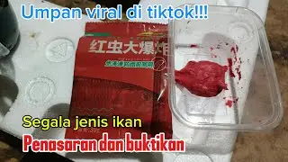 Umpan viral di tiktok!!! Penasaran dan buktikan