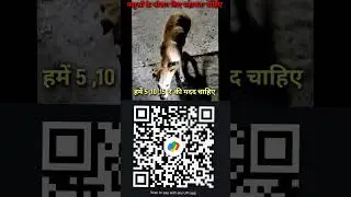इस बेजुबान बच्चे की टांग किसी ने तोड़ दी । हम पशुओं का भरण पोषण करते हैं